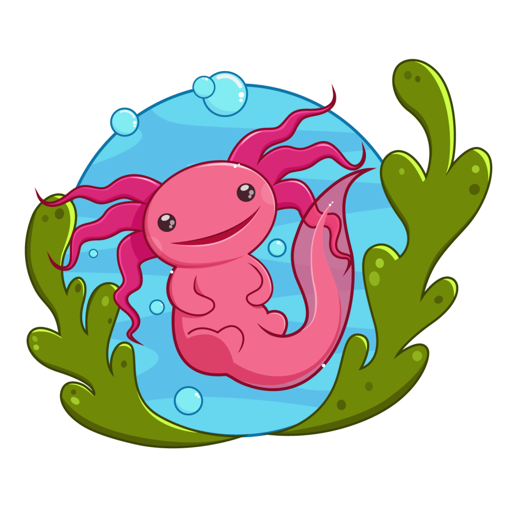 Axolotl